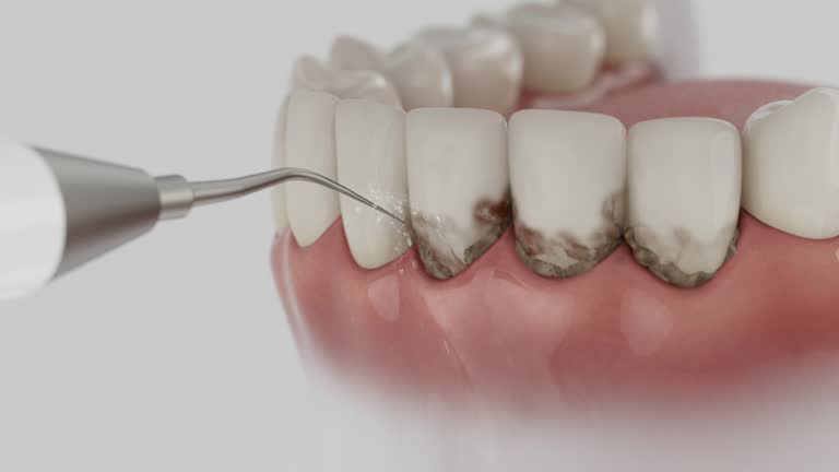 Reliable Dental contractor in Harlem, FL by Dentist Open Now